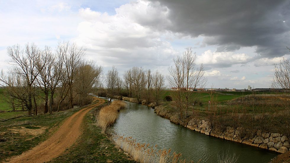 Canal de Castilla a la altura de las Casas del Rey