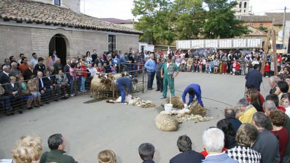 esquileo. Foto Ángel y Milagros